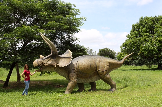 Giant Triceratops - Click Image to Close
